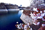 Triển lãm ảnh “thiên nhiên Nhật Bản – Vẻ đẹp tiềm ẩn”